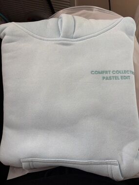 Pastel Edit Comfrt Collection baby blue Hoodie